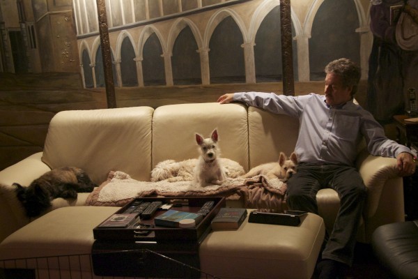 Media-X has gone to the dogs